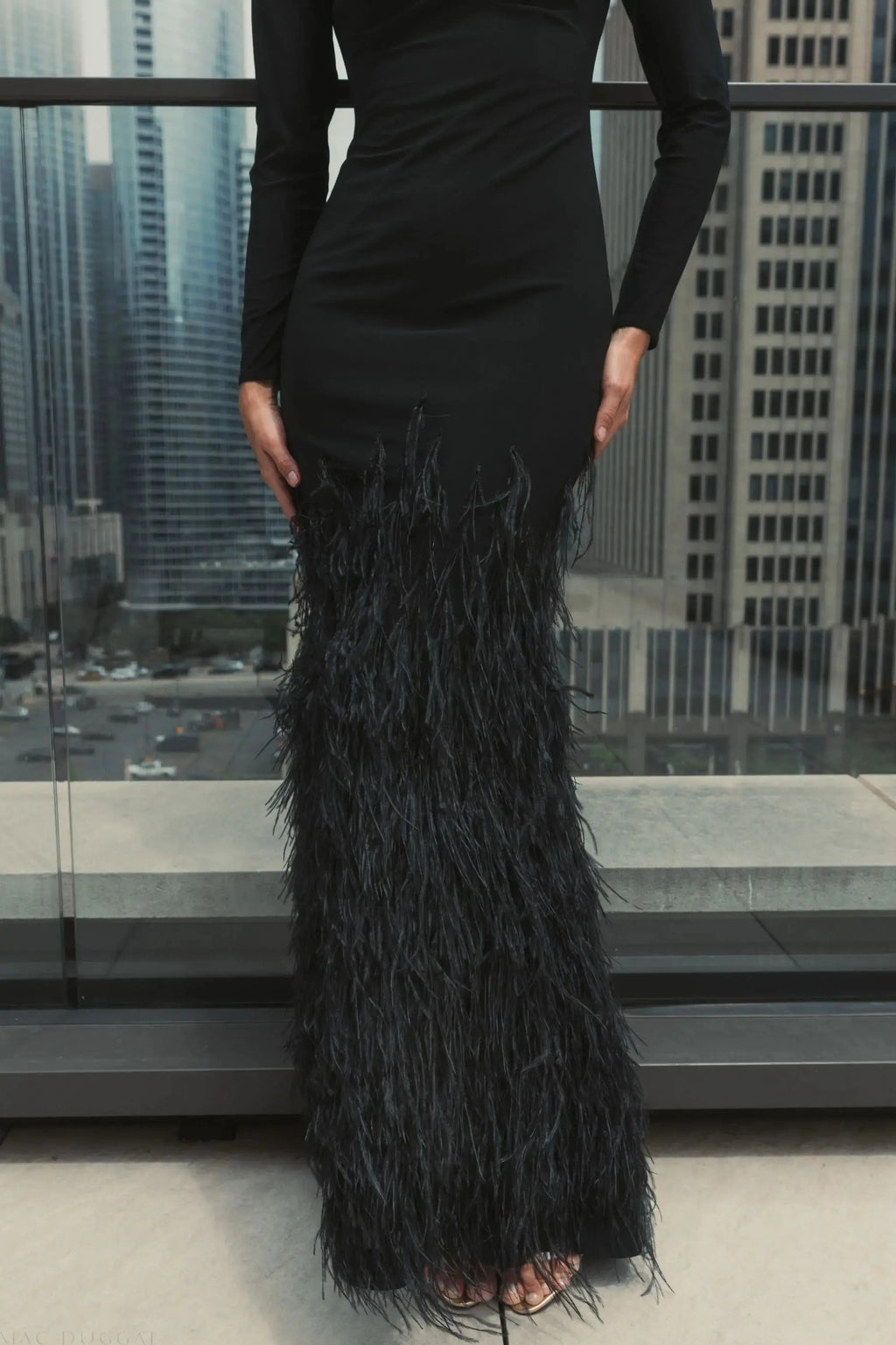 Black Long Sleeve High Neck Feather Trim Gown