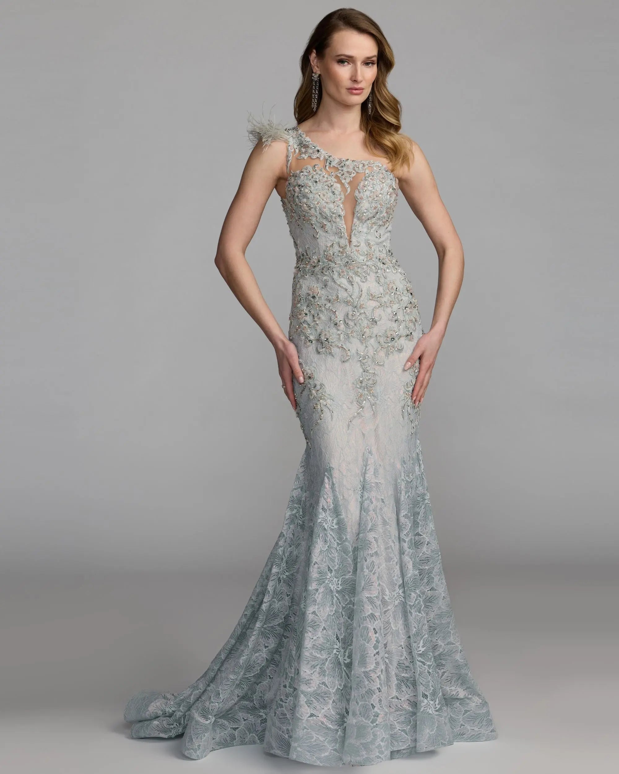 Blue Embellished Lace One Shoulder Gown With Feather Detail